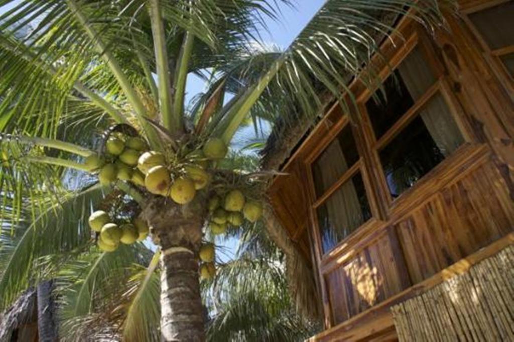 Hotel Tortuga Village San Luis La Herradura Zewnętrze zdjęcie